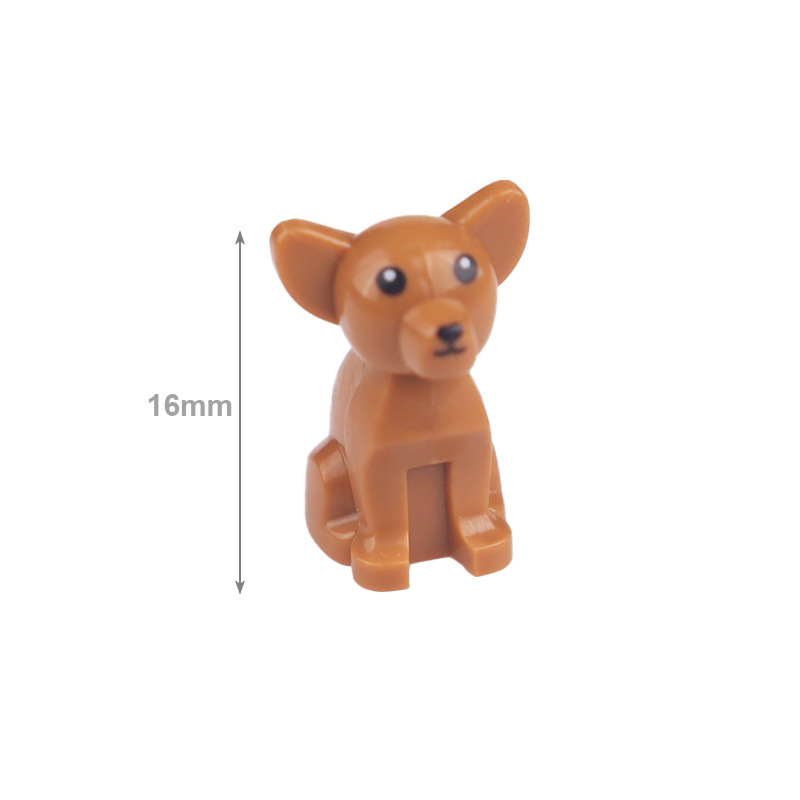 Chihuahua marron 1
