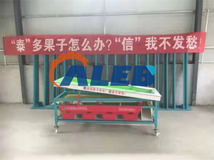 蓝莓红枣分选设备不锈钢核桃分选机5级