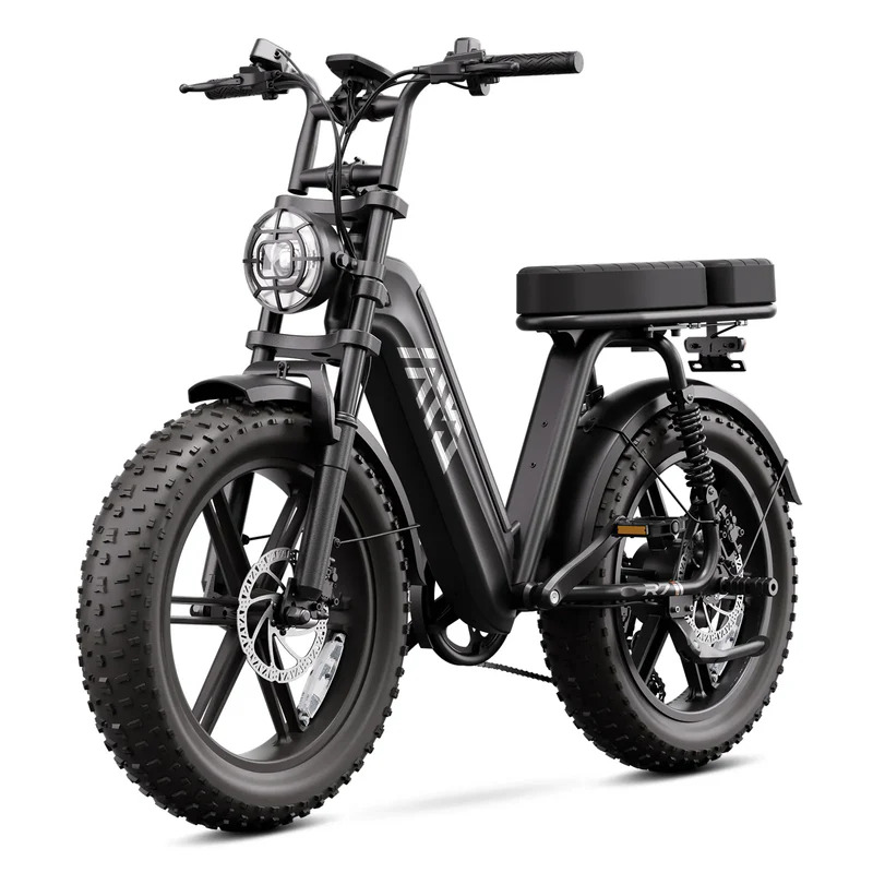 Black E-bike Electric Bike( 2-seater e-bike)