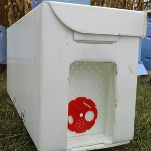 Nghề nuôi ong <span class=keywords><strong>correx</strong></span> hạt nhân hộp <span class=keywords><strong>langstroth</strong></span> nhựa Bee tổ ong - Product Image 4