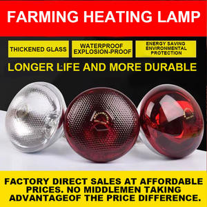 Hot Bán Chất Lượng Cao Đèn Chăn Nuôi Đặc Biệt Nhiệt Bóng Đèn Hồng Ngoại Đèn Gà Lồng Ấp Phụ Kiện Nhiệt Bảo Quản - Product Image 4