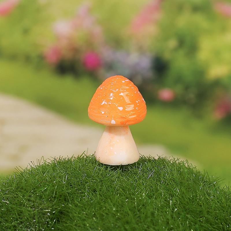 Large round mushroom