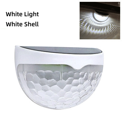 White Shell+ White Light