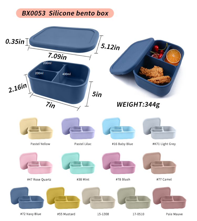 Boîte à bento du silicium BX00053