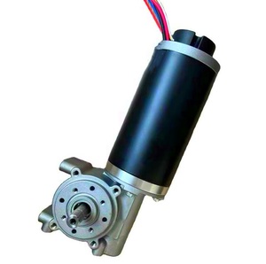 <strong>12V</strong> 24V High Torque Door Opener DC Worm Gear Motor with <strong>Encoder</strong> for Sliding Door - Product Image 3