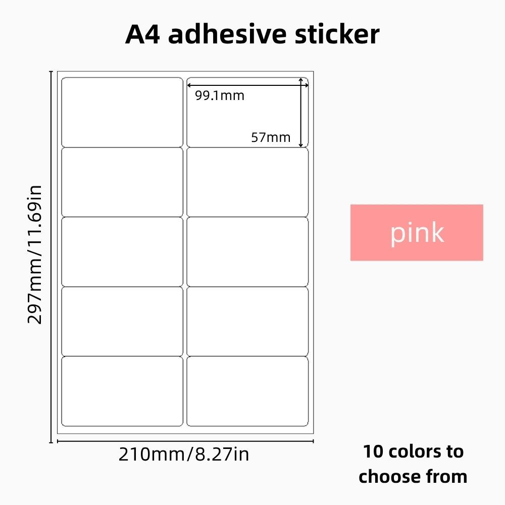 Rose (Stock AE)**