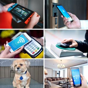 Programlanabilir 13.56MHz çip 213 NFC Abs anahtar Fob RFID erişim kontrolü anahtarlık etiketi ISO14443 Abs Mart Mart Keyfob Rfid evcil anahtar - Product Image 6