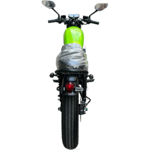 6 vitesli dişli disk fren sistem kaya ve rulo tarzı ile heyecan verici 60V arka Hub elektrikli bisiklet - Product Image 2