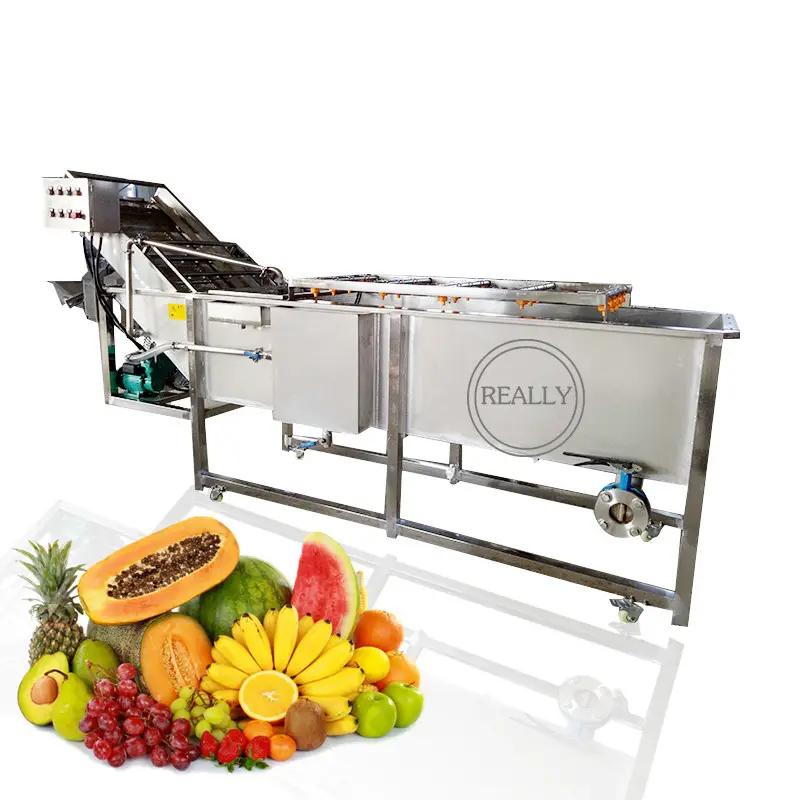 Endüstriyel yapraklı sebze temizleyici ticari meyve erik kiraz hava kabarcığı çamaşır makinesi meyve sebze yıkama ekipmanları