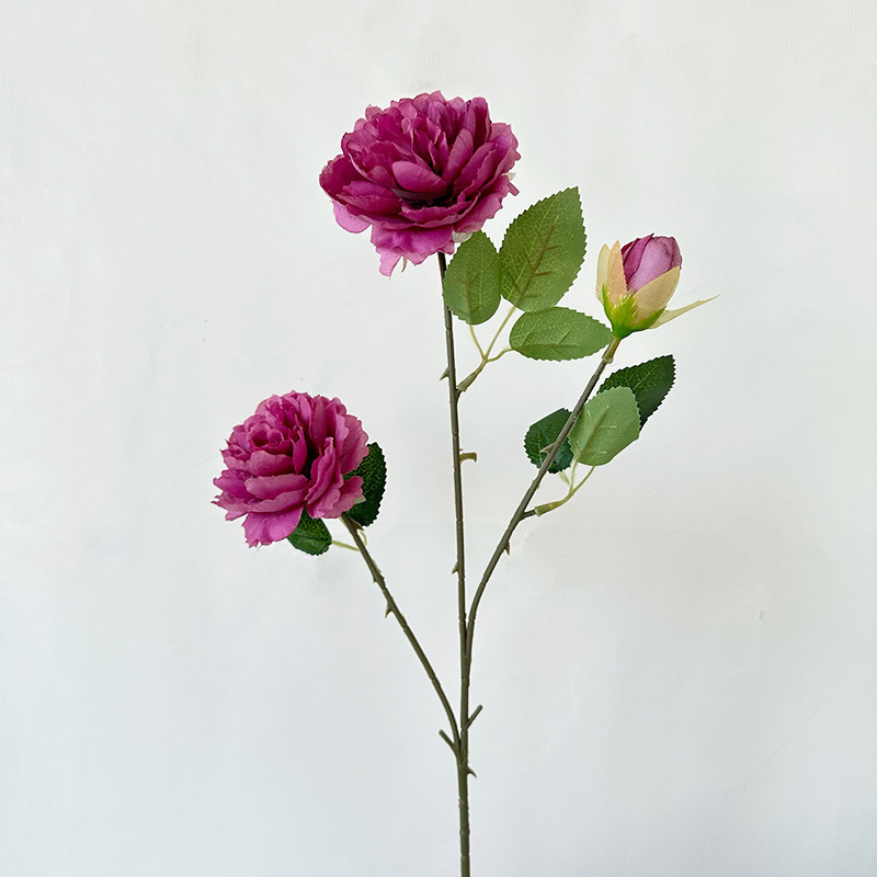Ranunculus à 3 têtes, n°30, Rose pourpre rouge
