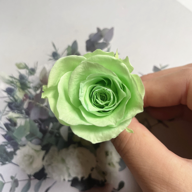 Rose verte 3-4 cm