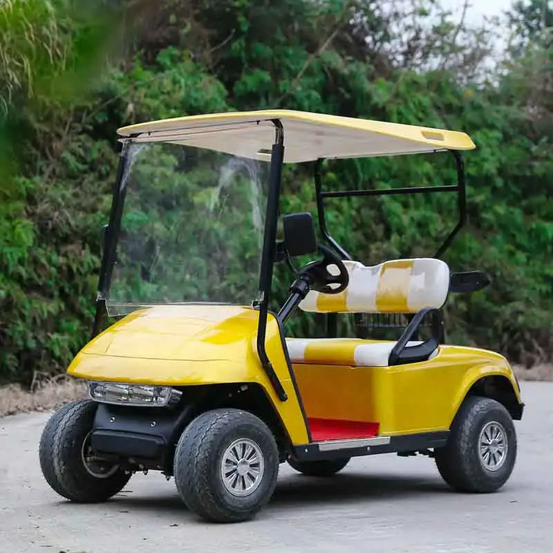 Minigolfkar Eec Goedgekeurde Fabrieksprijs 2-zits Elektrische Golfbaan Auto Mini Moke Elektrische Auto