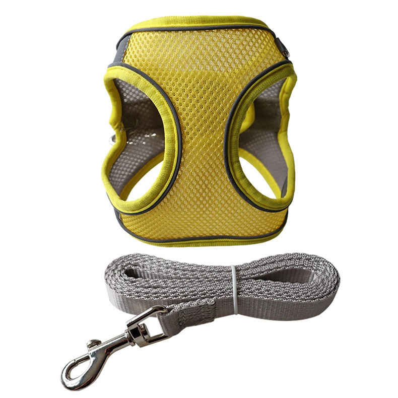 jaune gris