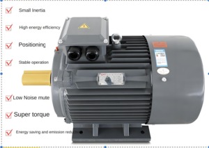 Ad alta potenza tre/due-fase AC servomotore risparmio energetico rame puro sincrono frequenza variabile per pompa dell'acqua velocità del motore