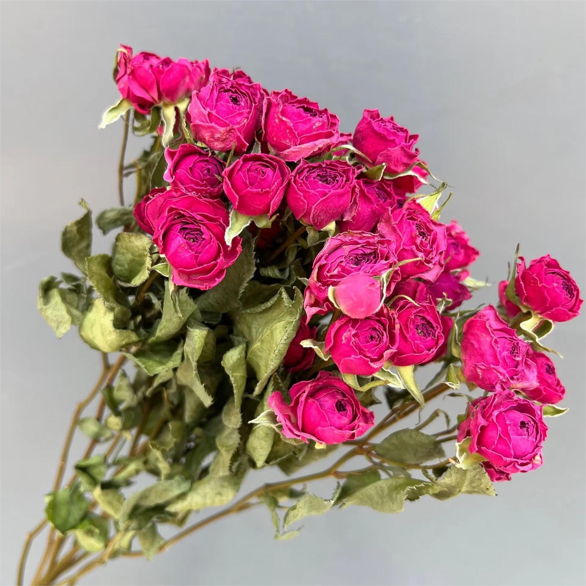 Sophie bébé 1 bouquet 10 bâtons