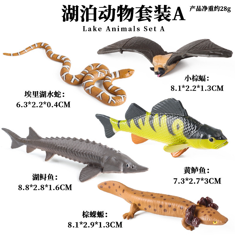 LZ Lago de América del Norte Animales 5 Set A