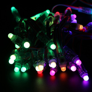 IP68 Wasserdichtes WS2811 Digital DC5V LED Pixel Modul Lichterkette