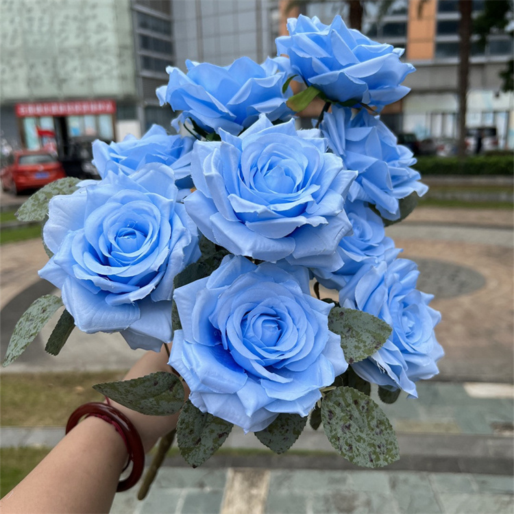 Bleu