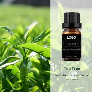 Bulk Private Label Raw Essential Oils 100% Pure <strong>Therapeutic</strong> Grade Facial Oil Tea Tree Oil for Shampoo <strong>Soap</strong> Making - Product Image 4
