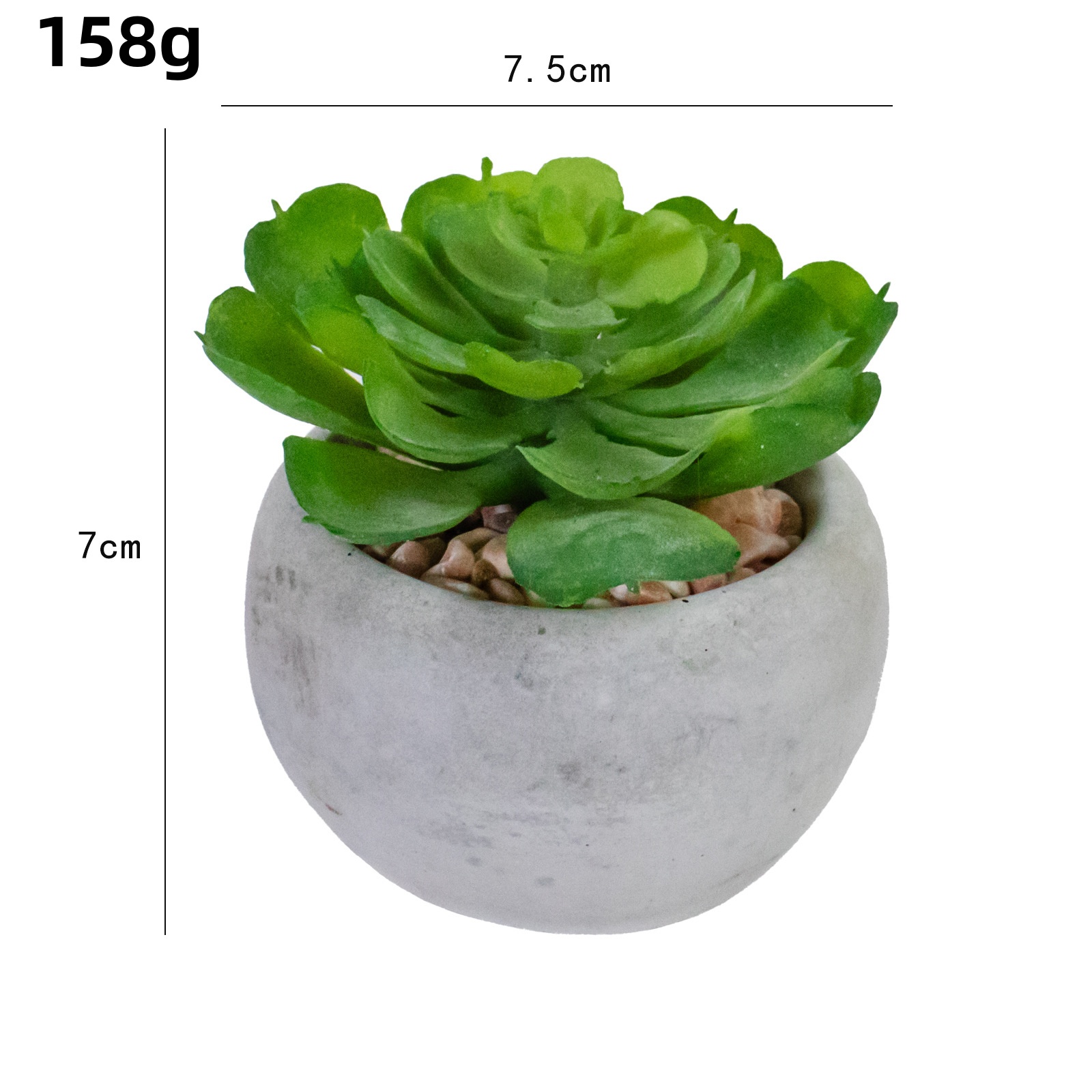 Vert 6