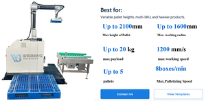Sistemas de paletización robótica completamente automáticos, caja de cartón, bolsa, paletizador Robot, máquina paletizadora automática, Robot apilador - Product Image 4