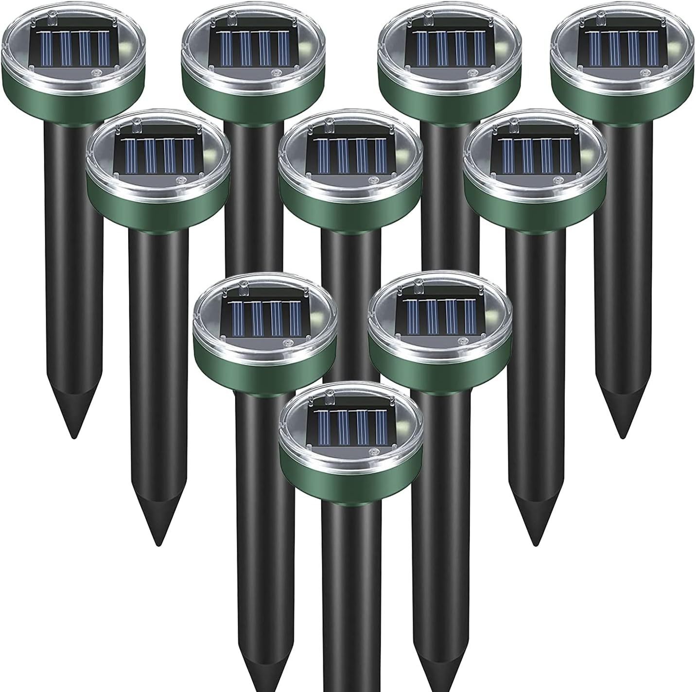 Small round black