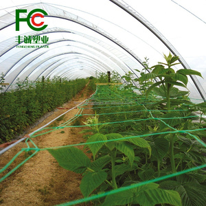 PP植物サポートネット: 野菜を登るための多用途豆、スイートピー、キュウリのネッティングトレリス - Product Image 4