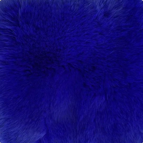 Bleu royal