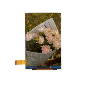 10 pin TN 3.95 inch 320*480 mô-đun hiển thị TFT-<span class=keywords><strong>LCD</strong></span> dọc giao diện SPI cho smartwatches bảng điều khiển nhiệt độ thông minh - Product Image 3