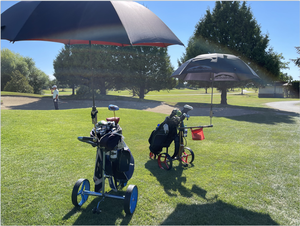 Golf Trolley 12 В DC параллельный вал редукторного двигателя контроллер Соединитель аксессуар цветной тормозной кодировщик оригинального типа DYD