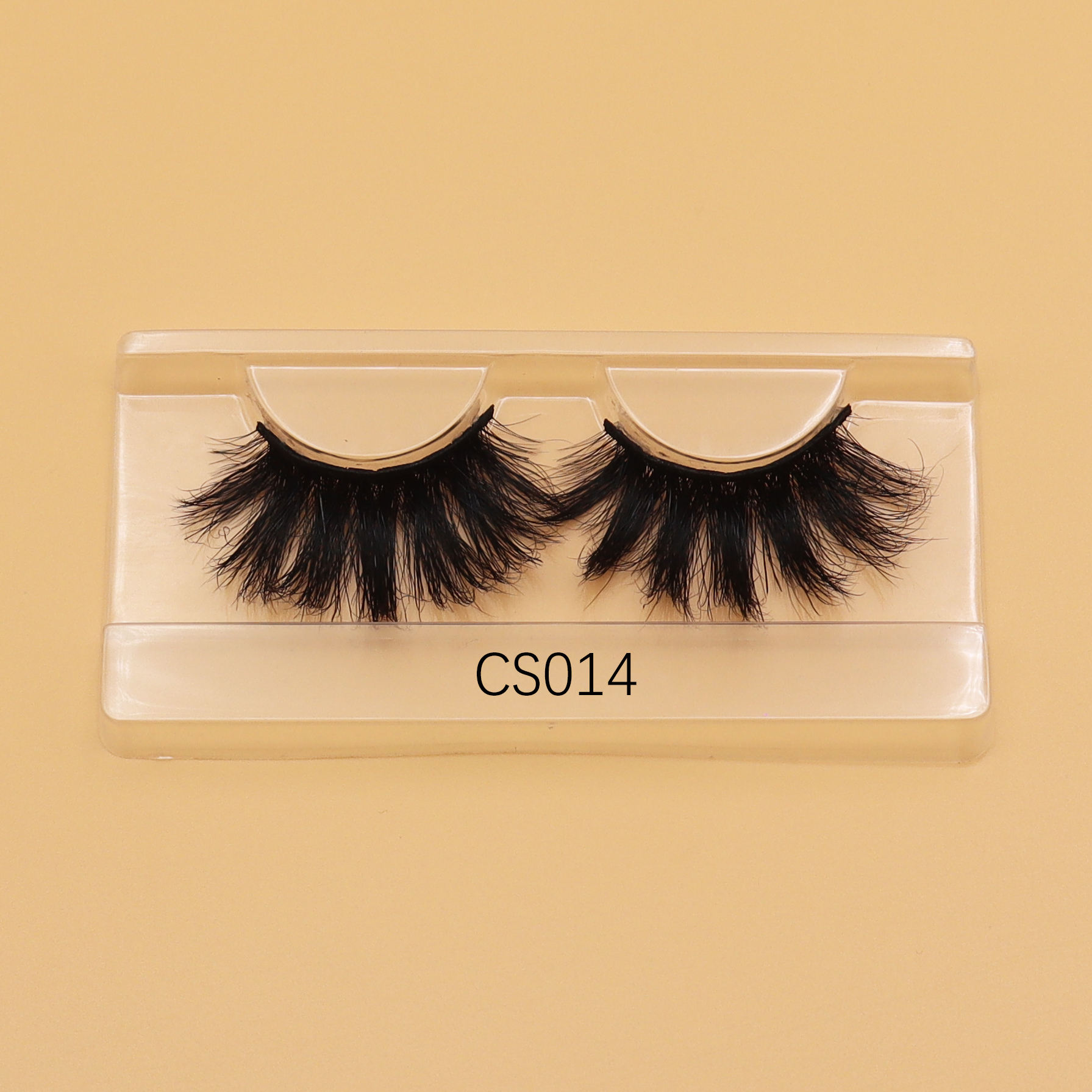 CS14