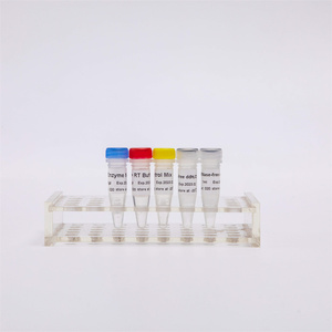 QPCR RNA ters transkriscription kiti cDNA sentezi premix # R1031 için RT-PCR Mix - Product Image 4