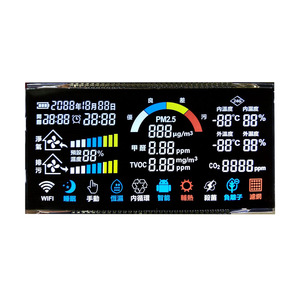 Produttore LCD produzione di massa TN digitale 7 Segmengt Lcd grande Display alfanumerico - Product Image 6