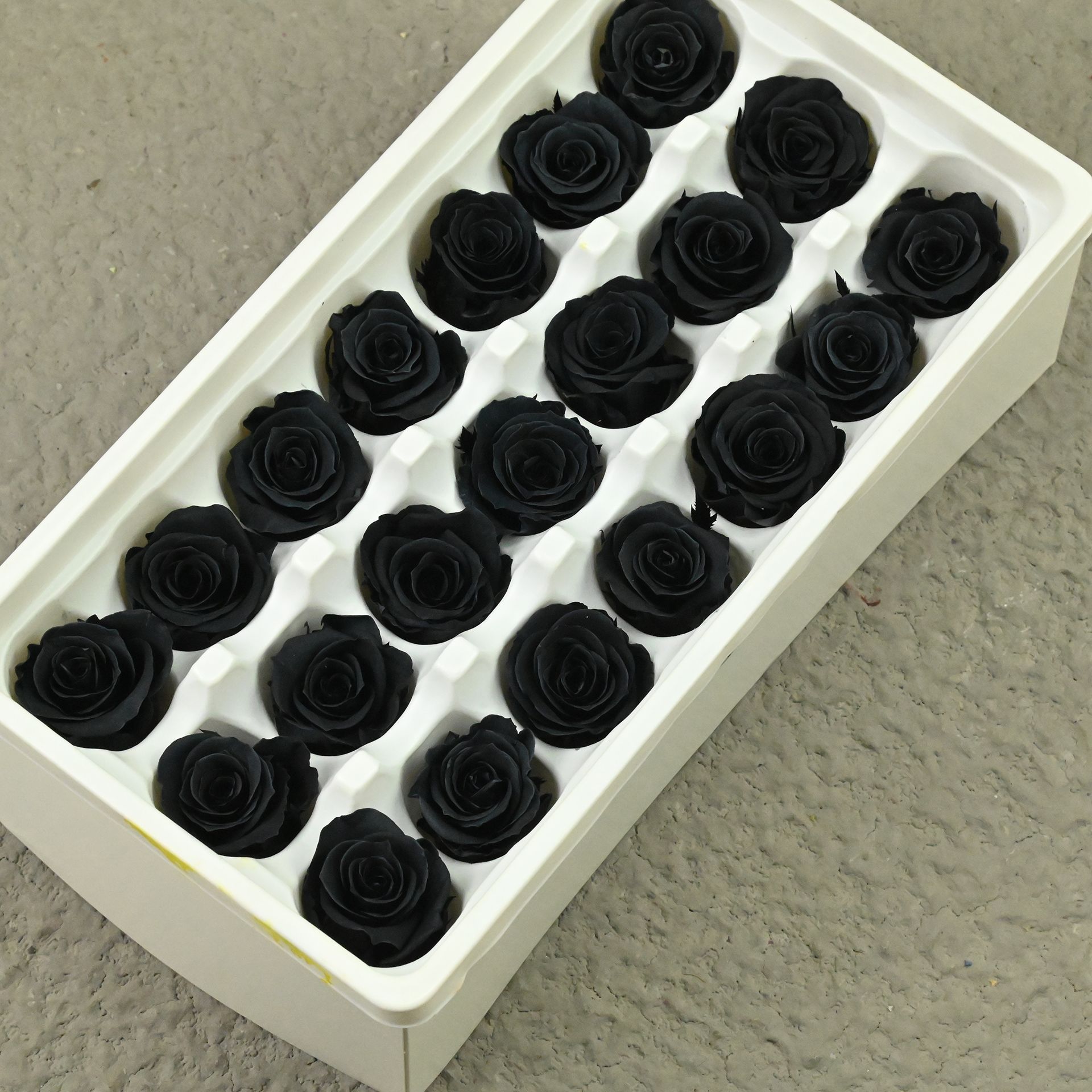 B mei 2-3 black-21