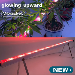 ไฟ LED แบบเต็มสเปกตรัมสำหรับปลูกต้นไม้มีหลังคาสีแดงอ่อน - Product Image 2