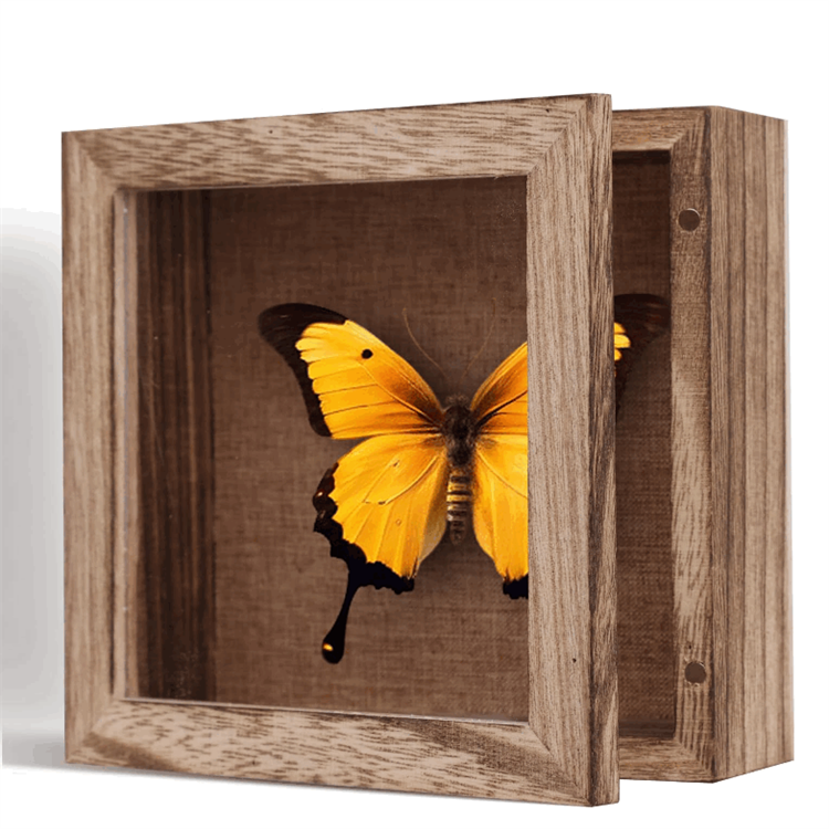 สีน้ำตาล