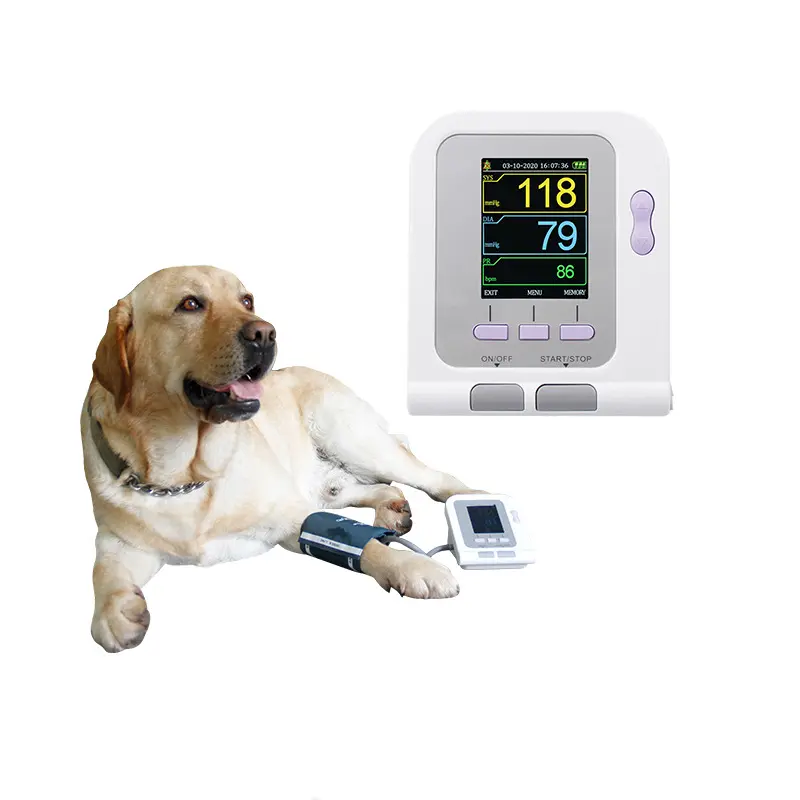 Entrega rápida, esfigmomanómetro veterinario para la medición de la presión arterial de animales, equipo veterinario