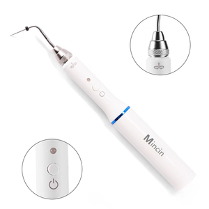 Penggantung gigi elektrik, gigi tanpa kabel, nirkabel, <span class=keywords><strong>Gutta</strong></span> <span class=keywords><strong>Percha</strong></span>, sistem obturasi, Endo, Pen pemanas <span class=keywords><strong>Percha</strong></span> - Product Image 4