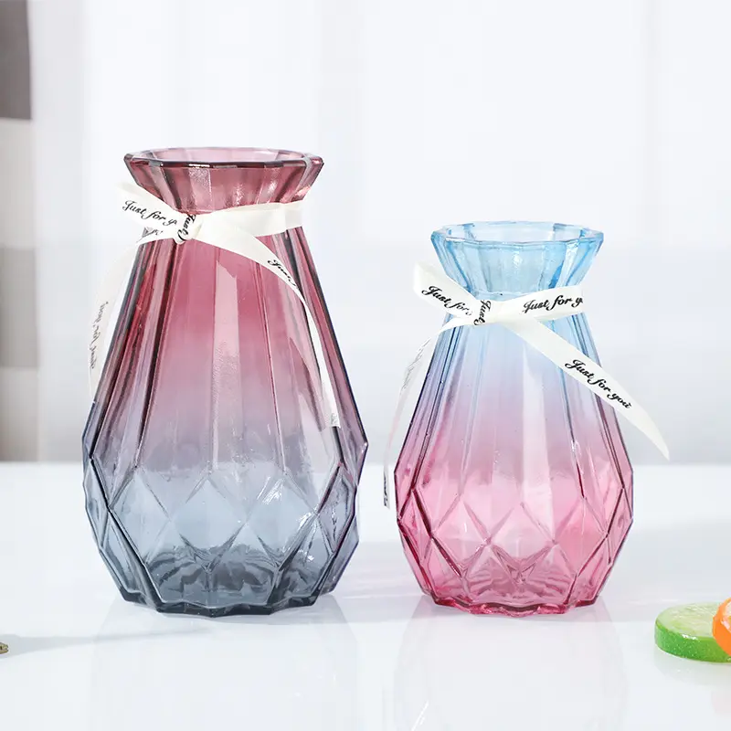 Produttori all'ingrosso vaso di vetro idroponico nordico colore vaso secco desktop piccola decorazione fresca del soggiorno della casa