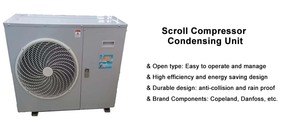 Famous Brand Scroll Compressor Freezing Condenser Unit with Air Cooler for Small Cold Room - Product Image 3