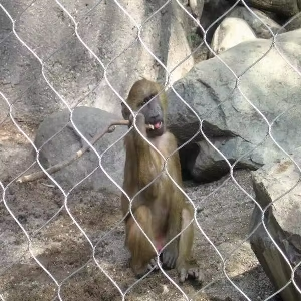 Maille de corde en acier inoxydable pour zoo