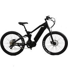 Frey Ebike-Frey Ebike Manufacturers 