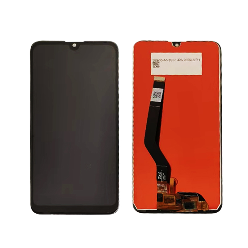Y7 2019
