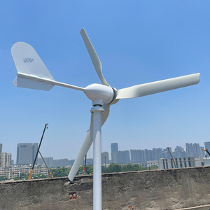 Fabrika doğrudan 1000w 24v 48v yatay eksen rüzgar türbini 3 bıçaklı rüzgar jeneratörü ev için fırıldak düşük başlangıç rüzgar hızlı - Product Image 1