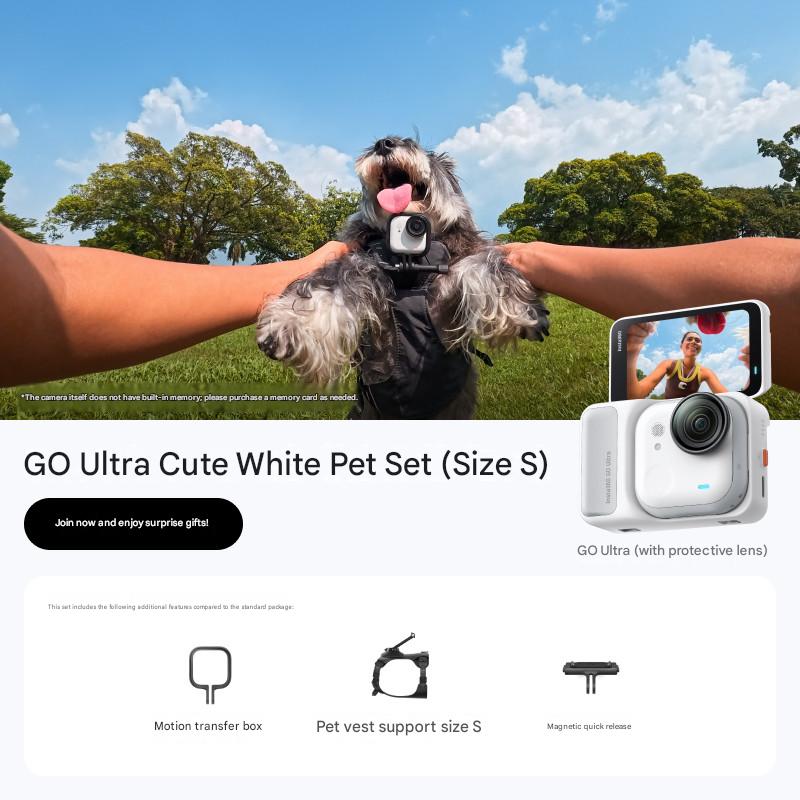 Ensemble pour animaux de compagnie mignon, blanc