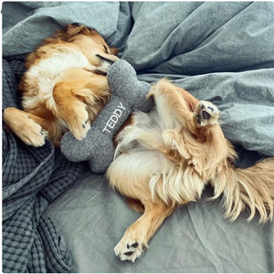 Kişiselleştirilmiş <span class=keywords><strong>Pet</strong></span> oyuncak dayanıklı köpek oyuncaklar köpek çiğnemek kemik oyuncaklar <span class=keywords><strong>Pet</strong></span> hediyeler yeni yavru hediye - Product Image 6