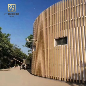 新设计铝Pere铝制摇摆木制室内门现代入口门