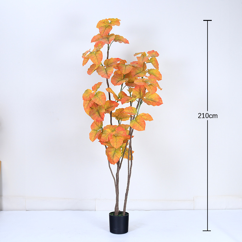 210cm