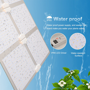 ไฟปลูกพืชไฮโดรโปนิกส์600วัตต์ LED ให้ผลผลิตสูงขับได้เต็มที่หรี่แสงได้ - Product Image 5