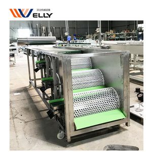 304 de acero inoxidable de alta capacidad de arándanos máquina de clasificación personalizable Welly - Product Image 6